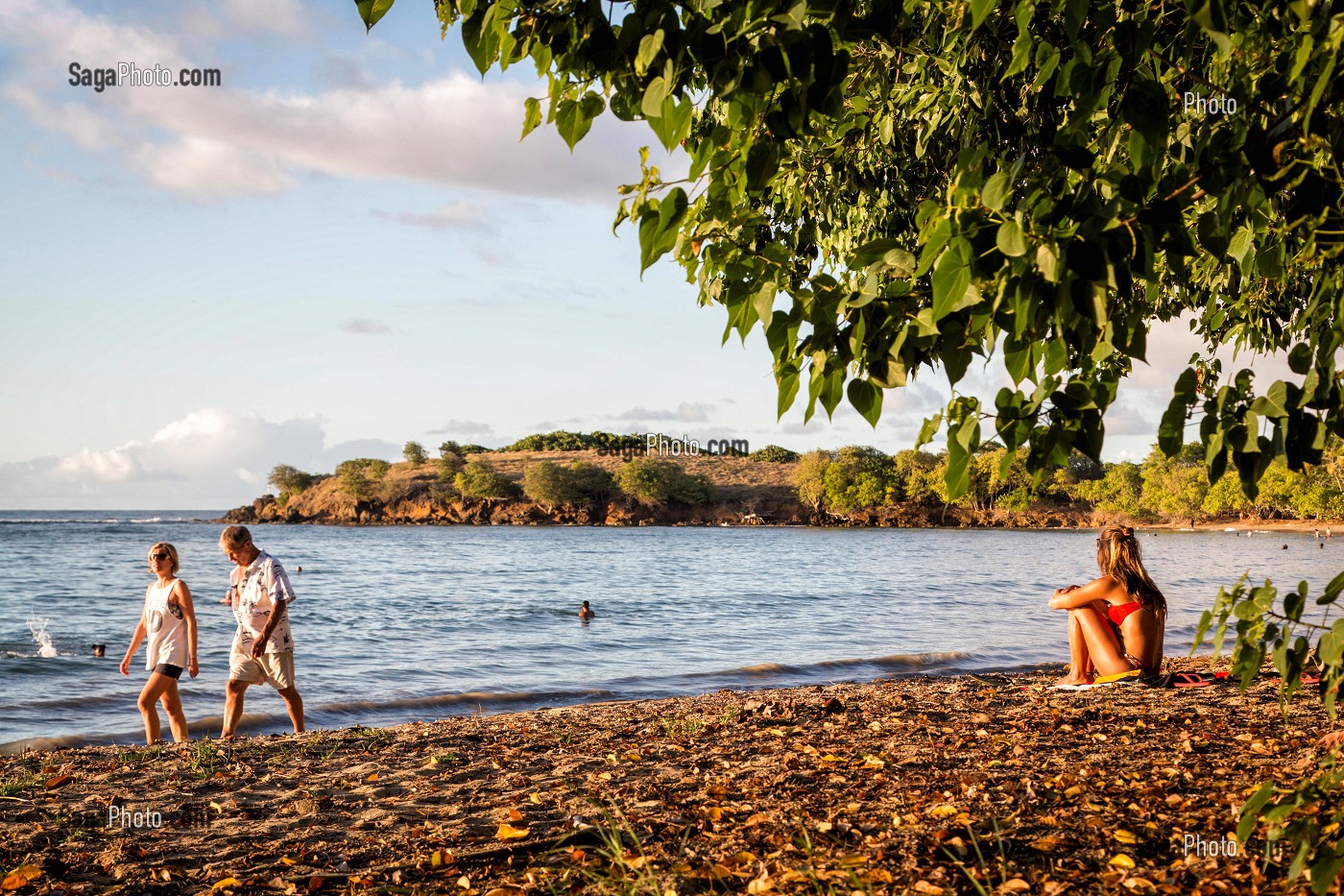 BALADE SUR LA PLAGE DE LA BRECHE, TARTANE, LA TRINITE, PRESQU'ILE DE LA CARAVELLE, MARTINIQUE, ANTILLES FRANCAISES, FRANCE 