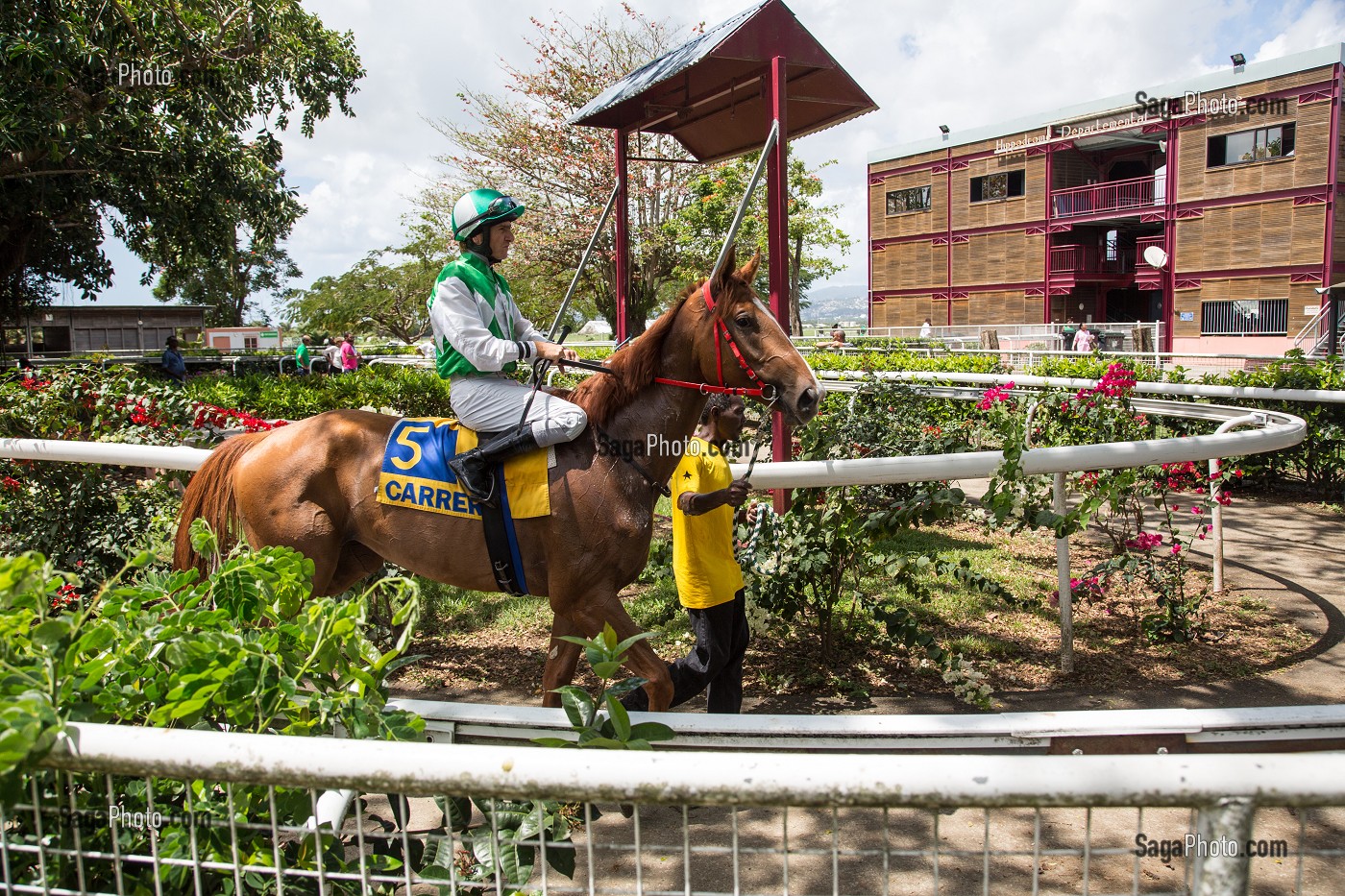 ROND DE PRESENTATION DES CHEVAUX AVANT LA COURSE (PADDOCK), HIPPODROME DEPARTEMENTAL DE CARRERE, LE LAMENTIN, MARTINIQUE, ANTILLES FRANCAISES, FRANCE 