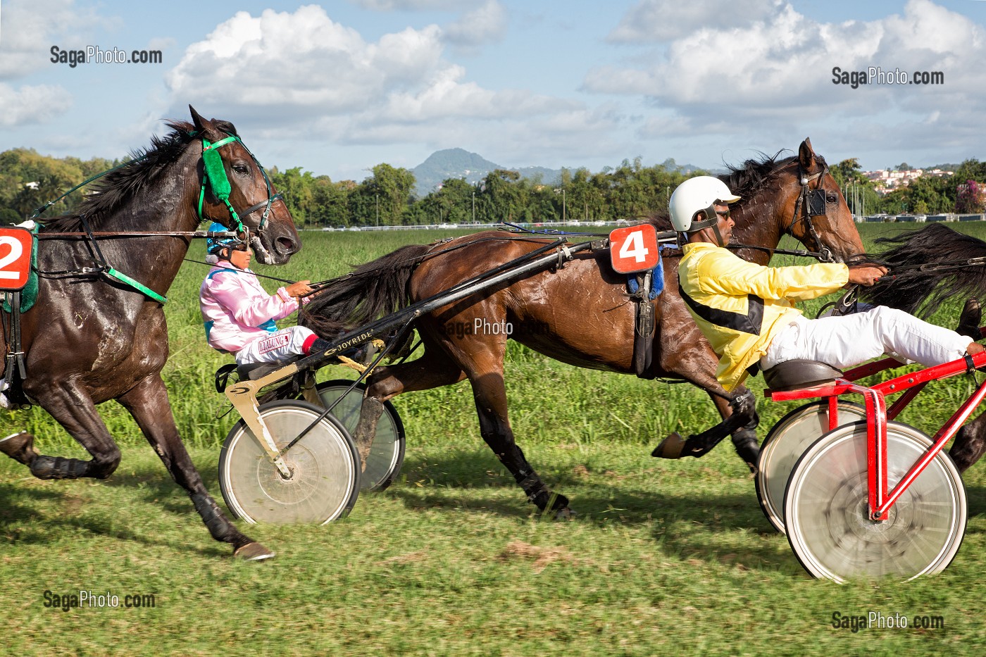 COURSE DE TROT ATTELE A BORD DE LA VOITURE DES COMMISSAIRES, HIPPODROME DEPARTEMENTAL DE CARRERE, LE LAMENTIN, MARTINIQUE, ANTILLES FRANCAISES, FRANCE 