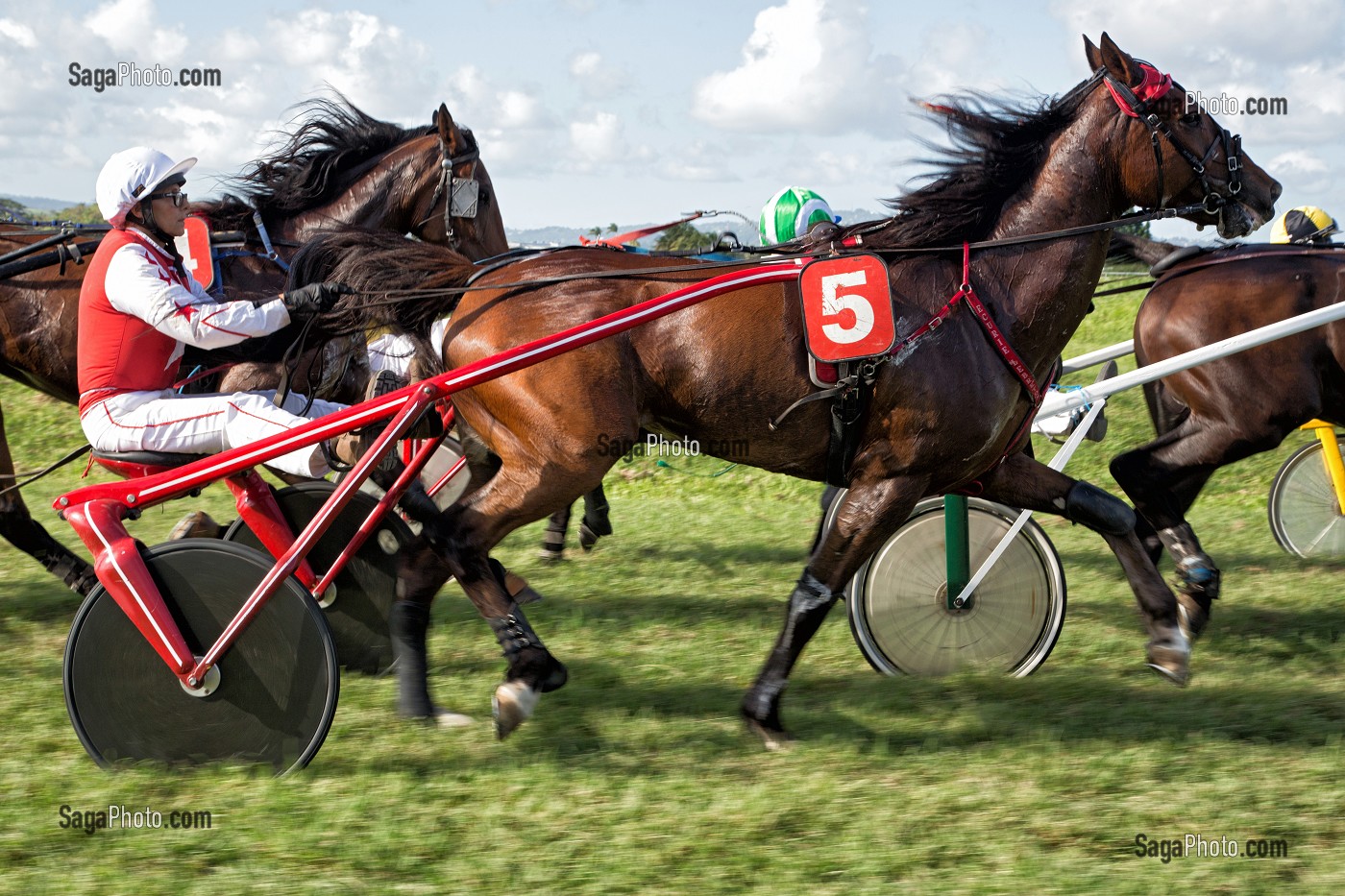 COURSE DE TROT ATTELE A BORD DE LA VOITURE DES COMMISSAIRES, HIPPODROME DEPARTEMENTAL DE CARRERE, LE LAMENTIN, MARTINIQUE, ANTILLES FRANCAISES, FRANCE 