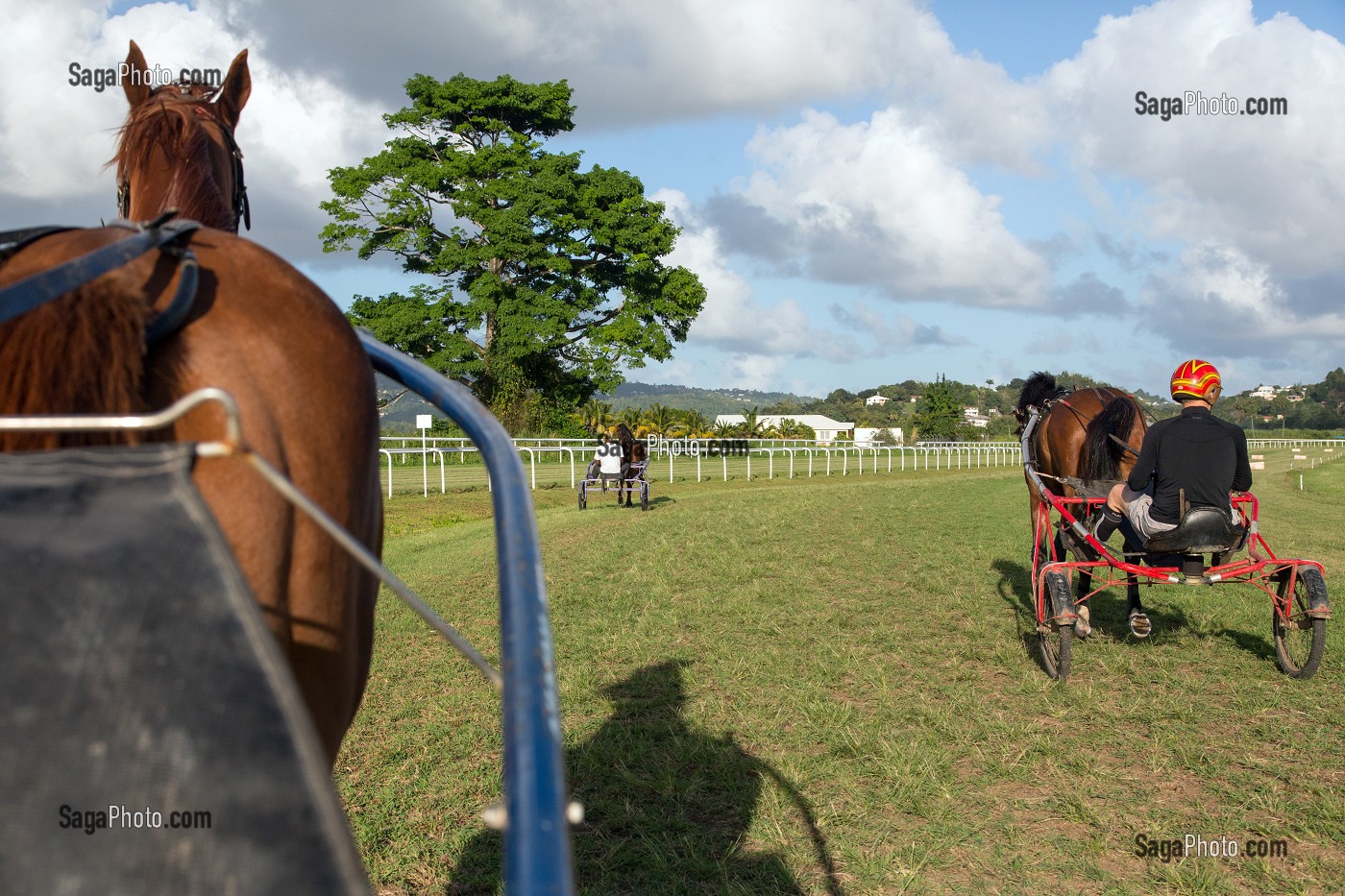 JOCKEYS A L'ENTRAINEMENT DES CHEVAUX AU TROT ATTELE, HIPPODROME DEPARTEMENTAL DE CARRERE, LE LAMENTIN, MARTINIQUE, ANTILLES FRANCAISES, FRANCE 