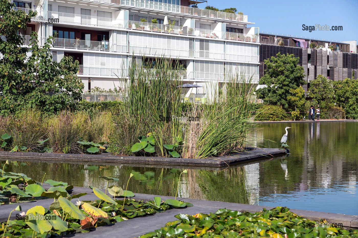 LE JARDIN BOTANIQUE, QUAI DES QUEYRIES, VILLE DE BORDEAUX, GIRONDE (33), FRANCE 