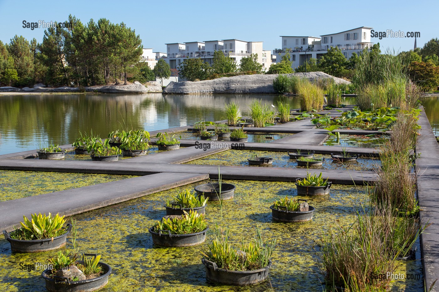 LE JARDIN BOTANIQUE, QUAI DES QUEYRIES, VILLE DE BORDEAUX, GIRONDE (33), FRANCE 