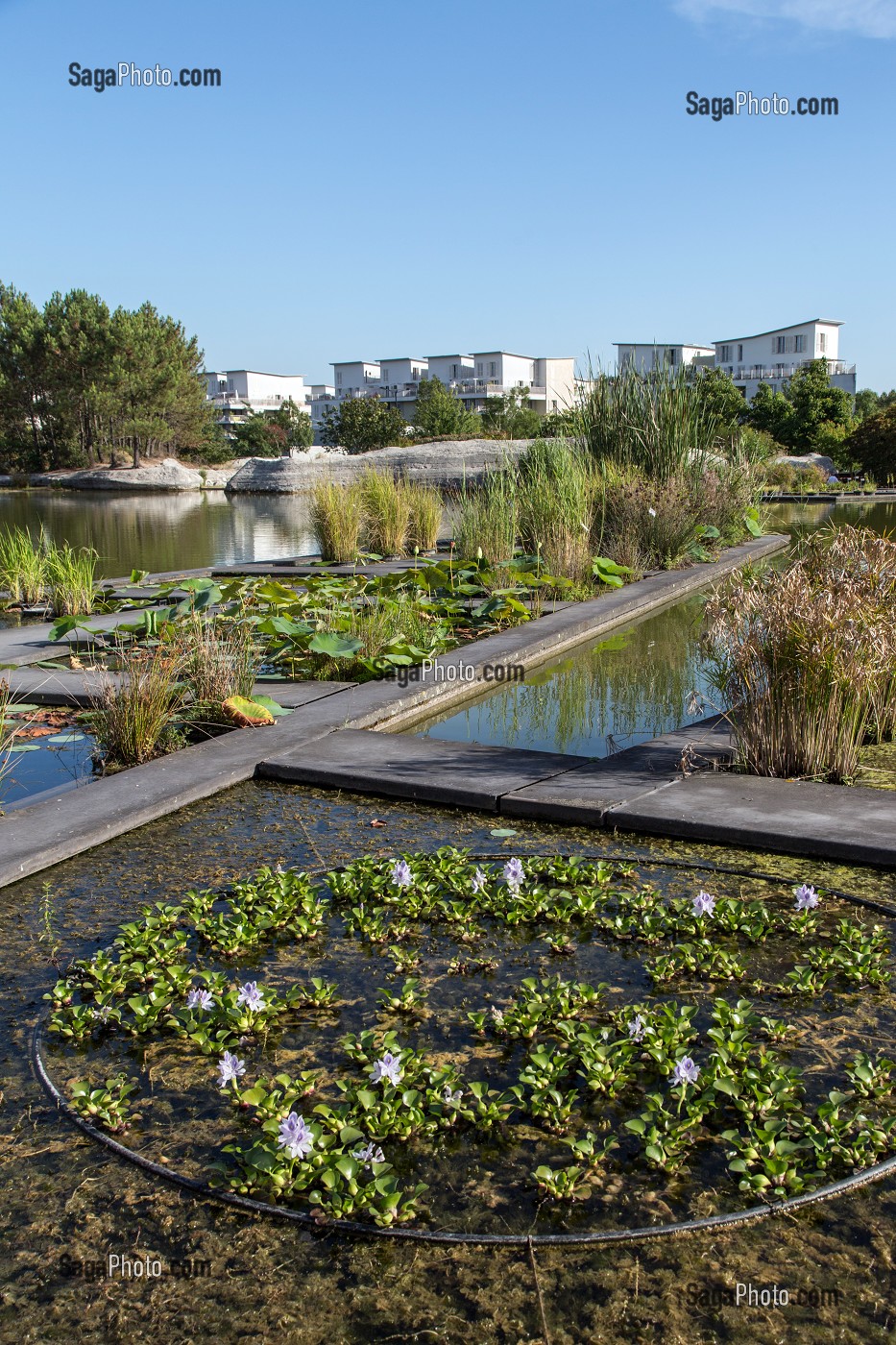 LE JARDIN BOTANIQUE, QUAI DES QUEYRIES, VILLE DE BORDEAUX, GIRONDE (33), FRANCE 
