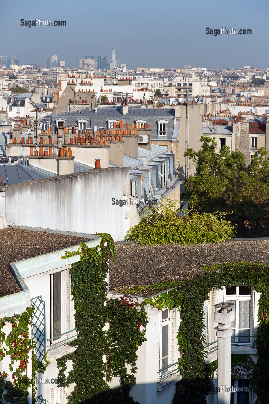 APPARTEMENT AVEC DES FACADES VEGETALISEES ET DES COURS INTERIEURES AVEC VUE SUR LE QUARTIER DE LA DEFENSE, BOULEVARD DE LA TOUR-MAUBOURG, 7 EME ARRONDISSEMENT, PARIS (75), FRANCE 