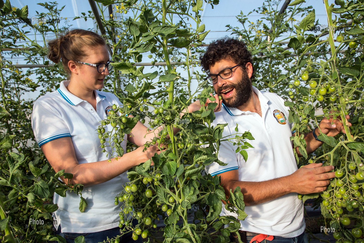 PRODUITS DE TERROIR, ALIMENTATION DE QUALITE, FRANCE 