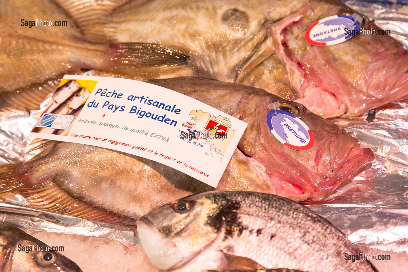 ETIQUETTE DE PECHE ARTISANALE DU PAYS BIGOUDEN EN BRETAGNE, RAYON DE POISSONS, MARCHE COUVERT, CHARTRES (28), FRANCE 