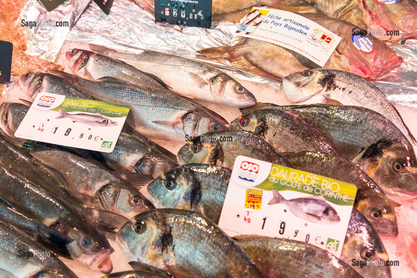 BAR BIO, DAURADE BIO, SAINT-PIERRE, ETIQUETTE DE PECHE ARTISANALE DU PAYS BIGOUDEN EN BRETAGNE, RAYON DE POISSONS, MARCHE COUVERT, CHARTRES (28), FRANCE 
