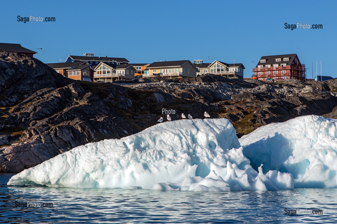 MOUETTES ET ICEBERG ET MAISONS SUR LA COLLINE D'ILULISSAT, GROENLAND 