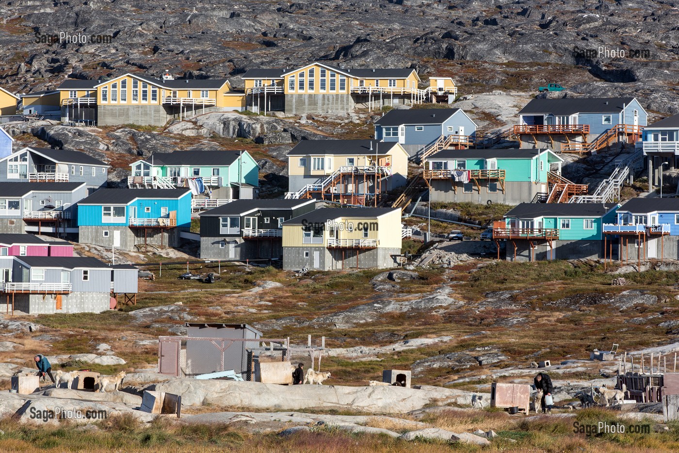 ELEVAGE DE CHIENS DE TRAINEAUX DEVANT LES PETITES MAISONS COLOREES EN BOIS, ILULISSAT, GROENLAND 