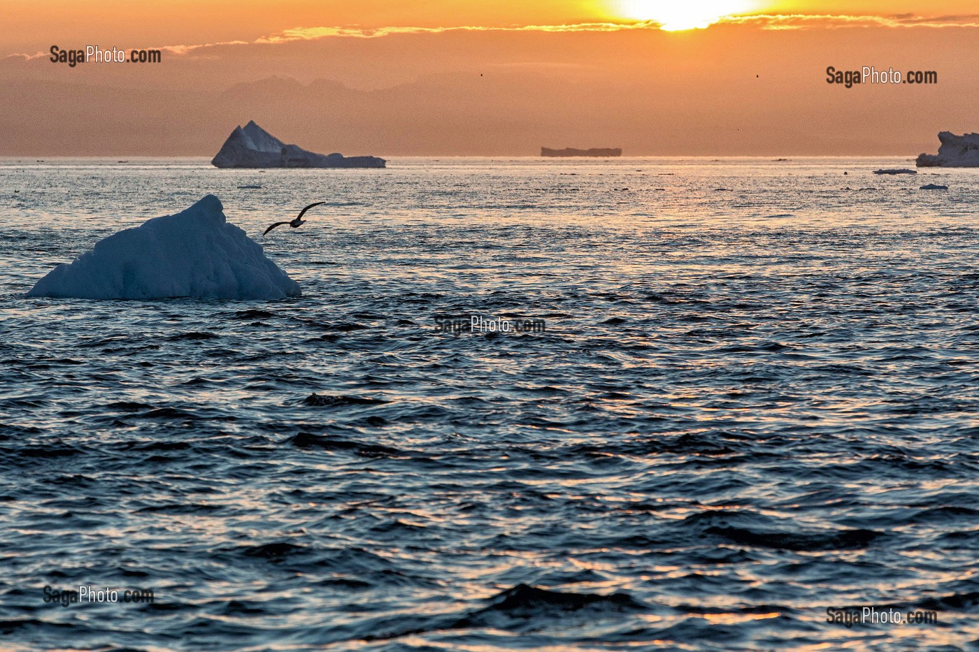 COUCHER DE SOLEIL SUR LES ICEBERGS DU FJORD DE GLACE, GLACIER JAKOBSHAVN, LONG DE 65 KILOMETRES PROVENANT DE L’INLANDSIS, SERMEQ KUJALLEQ, ILULISSAT, GROENLAND 