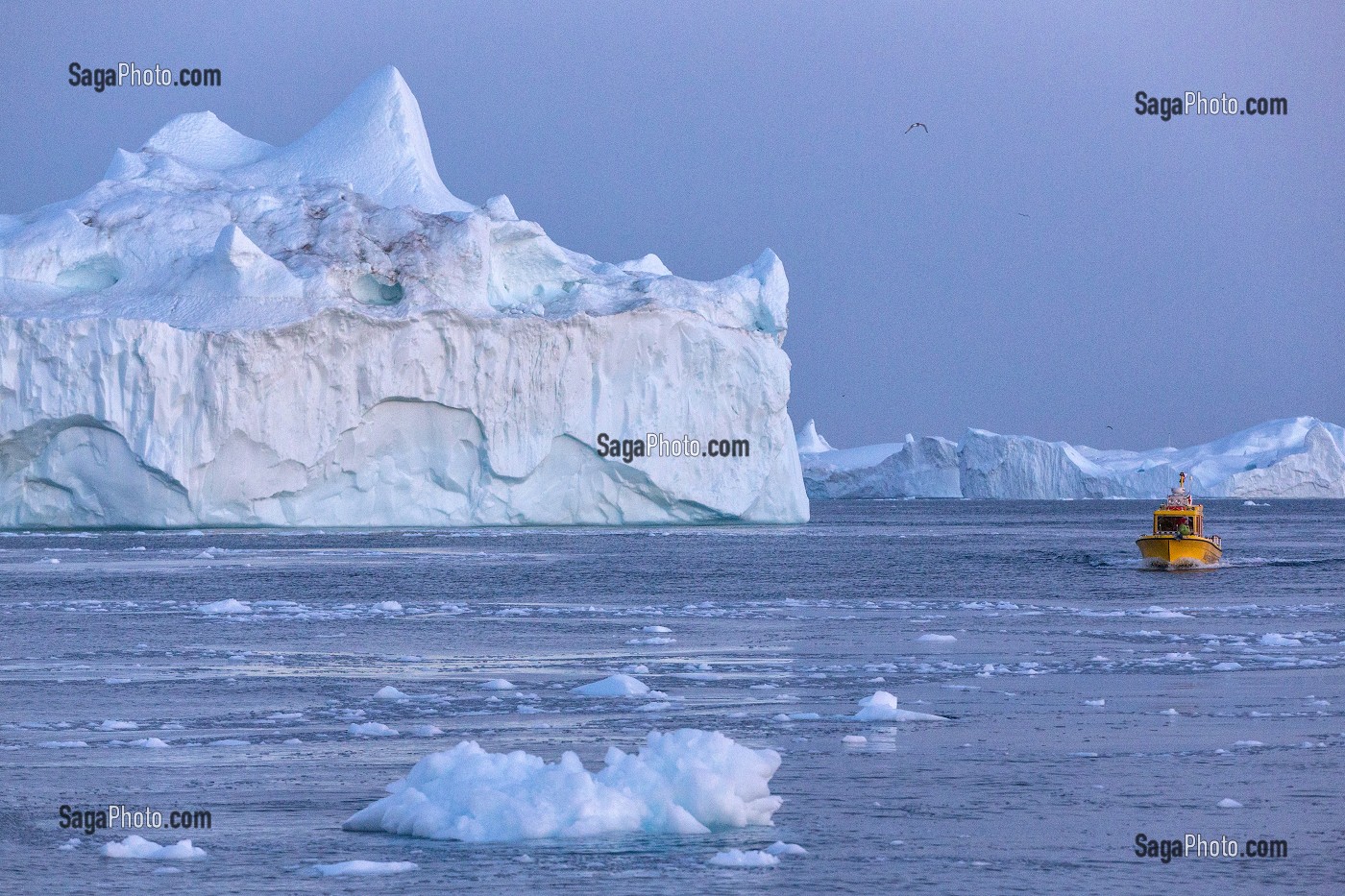 BATEAU TAXI (WATER TAXI) DEVANT LES ICEBERGS DU FJORD DE GLACE, GLACIER JAKOBSHAVN, LONG DE 65 KILOMETRES PROVENANT DE L’INLANDSIS, SERMEQ KUJALLEQ, ILULISSAT, GROENLAND 