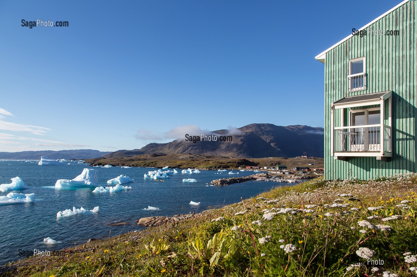 PAYSAGE POLAIRE AVEC LA FLORE, LES ICEBERGS FLOTTANT DANS LE FJORD, LES MAISONS COLOREES EN BOIS, BAIE DE NARSAQ, GROENLAND 