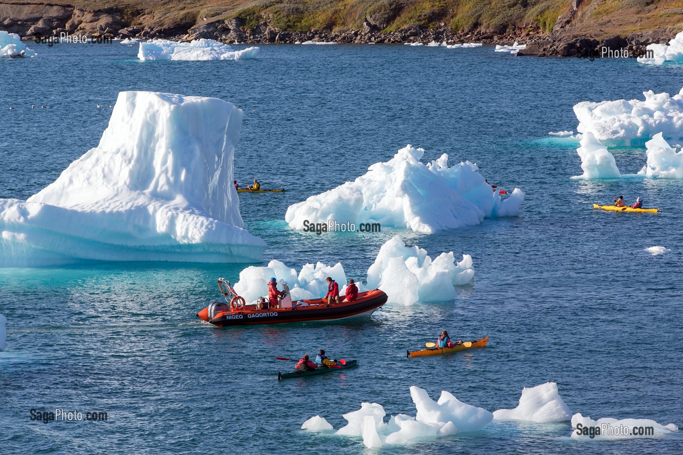 CANOE KAYAK AU MILIEU DES ICEBERGS DETACHES DU GLACIER, FJORD DE LA BAIE DE NARSAQ, GROENLAND 