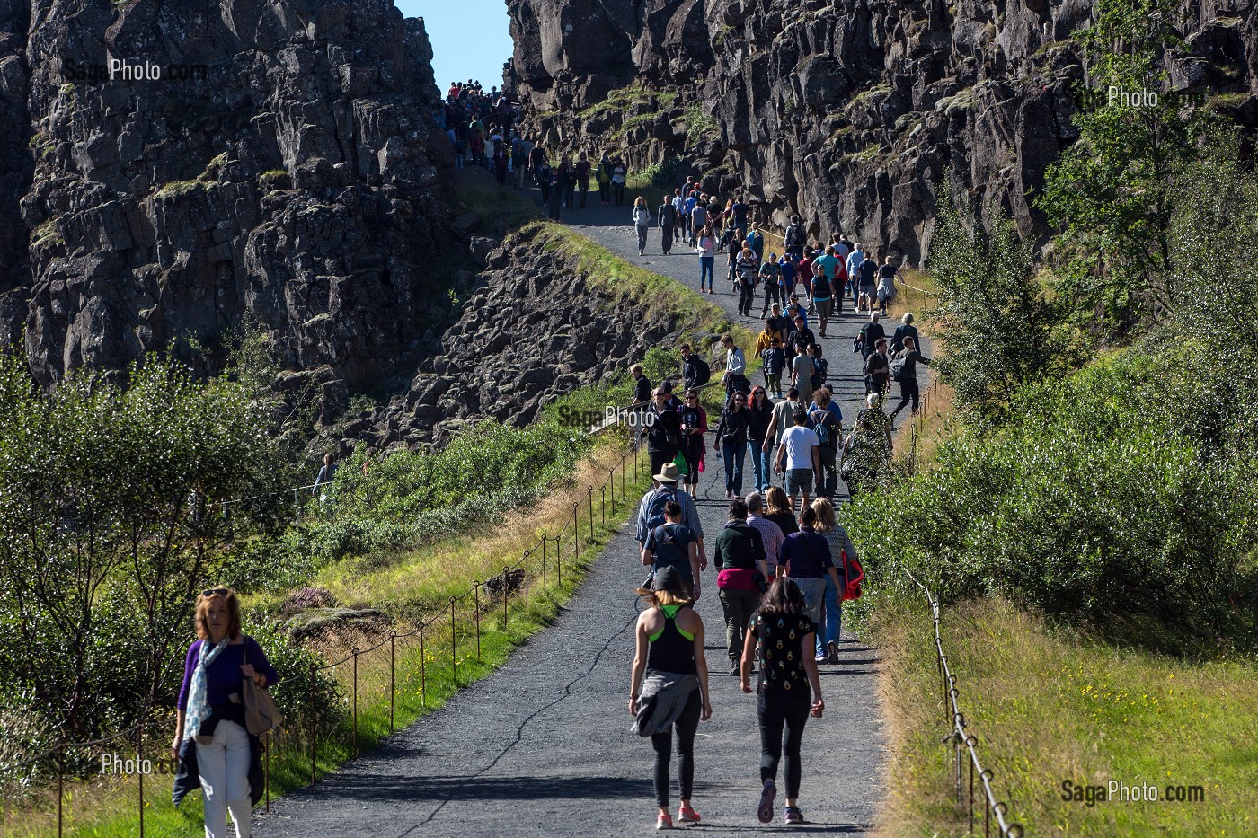 GORGES DE L’ALMANNAGJA, PARC NATIONAL DE THINGVELLIR, LIEU DE L'ANCIEN PARLEMENT OU FUT PROCLAME L'INDEPENDANCE DE L'ISLANDE, SITE CLASSE AU PATRIMOINE MONDIAL DE L'UNESCO, CERCLE D'OR, GOLDEN CIRCLE, ISLANDE 