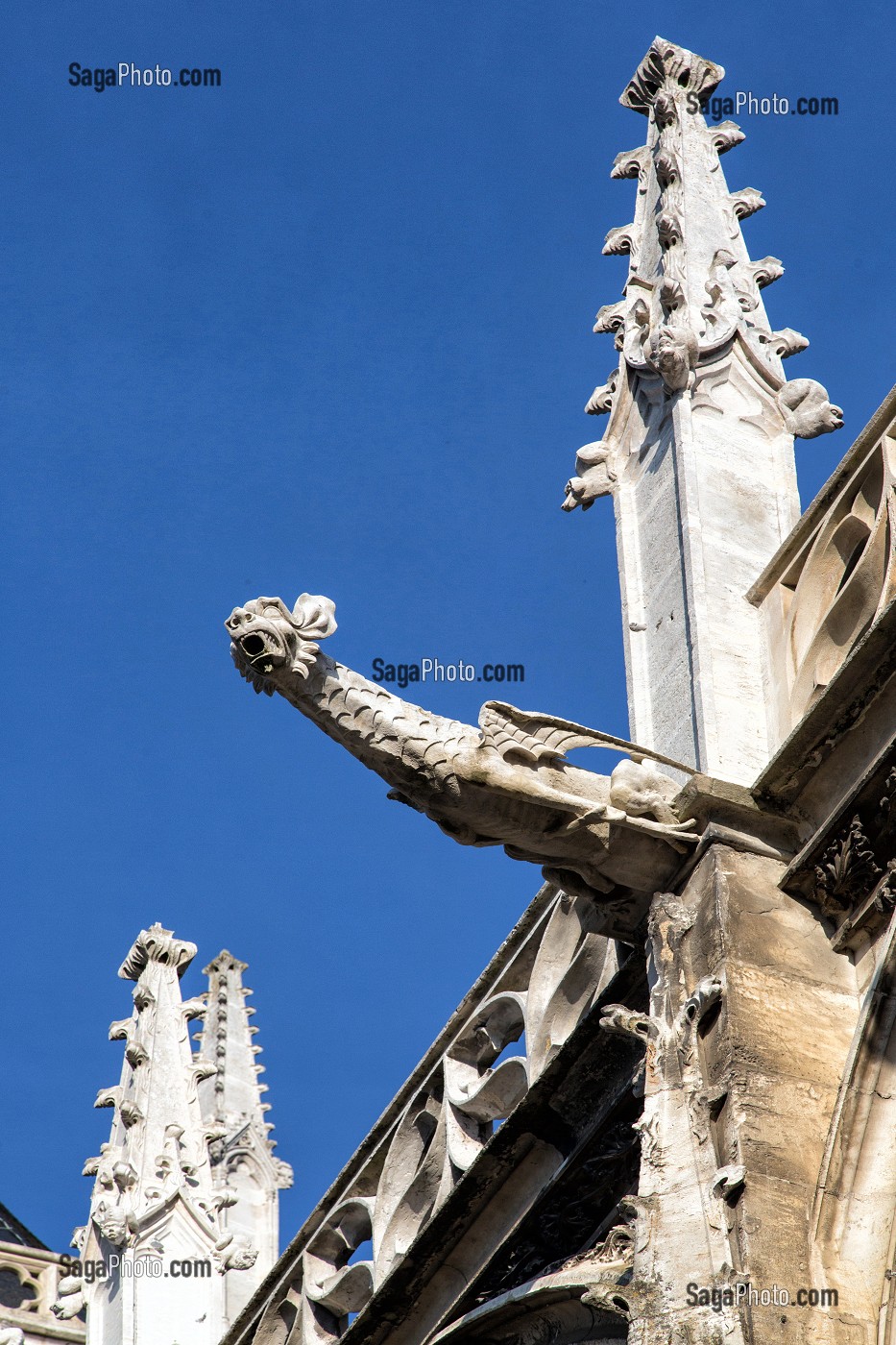 GARGOUILLE SUR LA FACADE SUD, CATHEDRALE NOTRE-DAME, EVREUX (27), FRANCE 