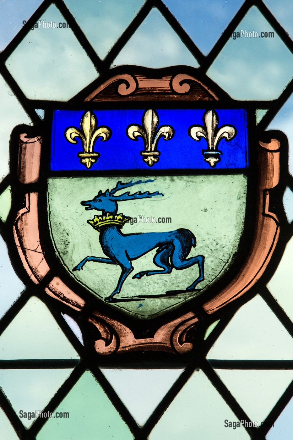 EMBLEME DE CHARLES VI LE FOL, ROI DE FRANCE, CHATEAU DE NOGENT-LE-ROI (28), FRANCE 