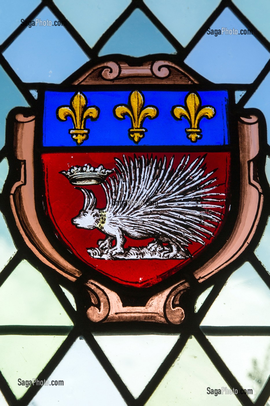 EMBLEME DE LOUIS XII, ROI DE FRANCE, CHATEAU DE NOGENT-LE-ROI (28), FRANCE 