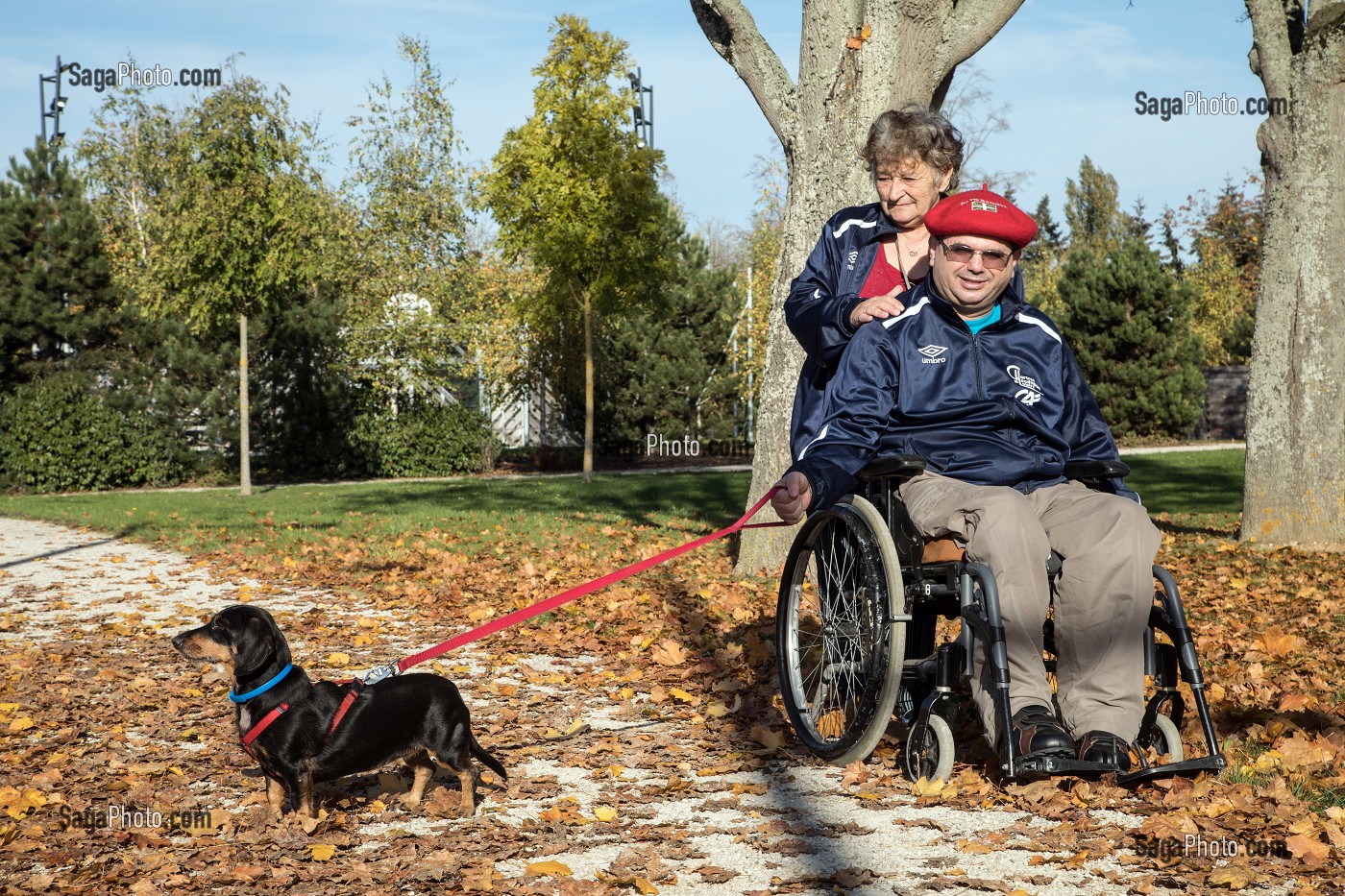 HOMME HANDICAPE PHYSIQUE DANS SON FAUTEUIL ROULANT AVEC SA FEMME ET SON CHIEN DANS LA PARC EN AUTOMNE, CHARTRES (28), FRANCE 