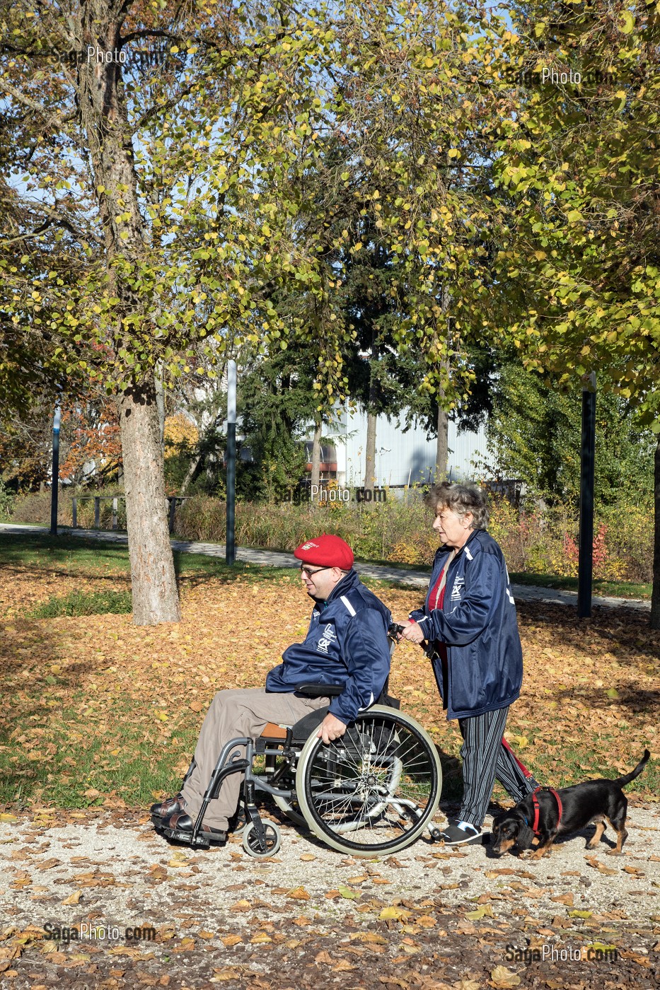 HOMME HANDICAPE PHYSIQUE DANS SON FAUTEUIL ROULANT AVEC SA FEMME ET SON CHIEN DANS LA PARC EN AUTOMNE, CHARTRES (28), FRANCE 