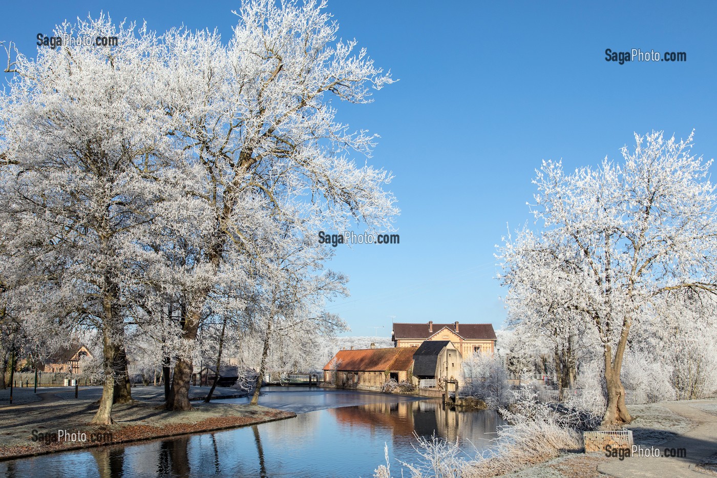 MOULIN A EAU SUR LES BORDS DE LA RISLE, GIVRE DANS LES ARBRES BLANCS EN HIVER, RUGLES (27), FRANCE 