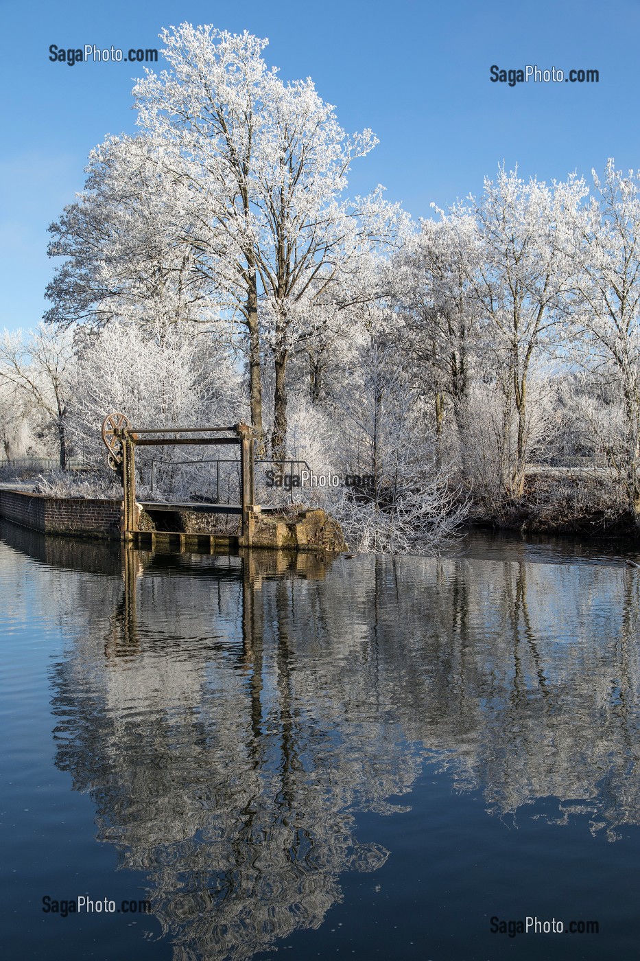 VANNAGE SUR LES BORDS DE LA RISLE, GIVRE DANS LES ARBRES BLANCS EN HIVER, RUGLES (27), FRANCE 