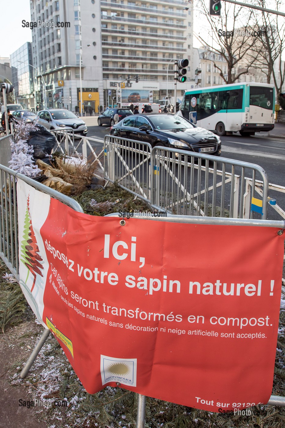 RECYCLAGE DES SAPINS DE NOEL A PARIS, (75), FRANCE 