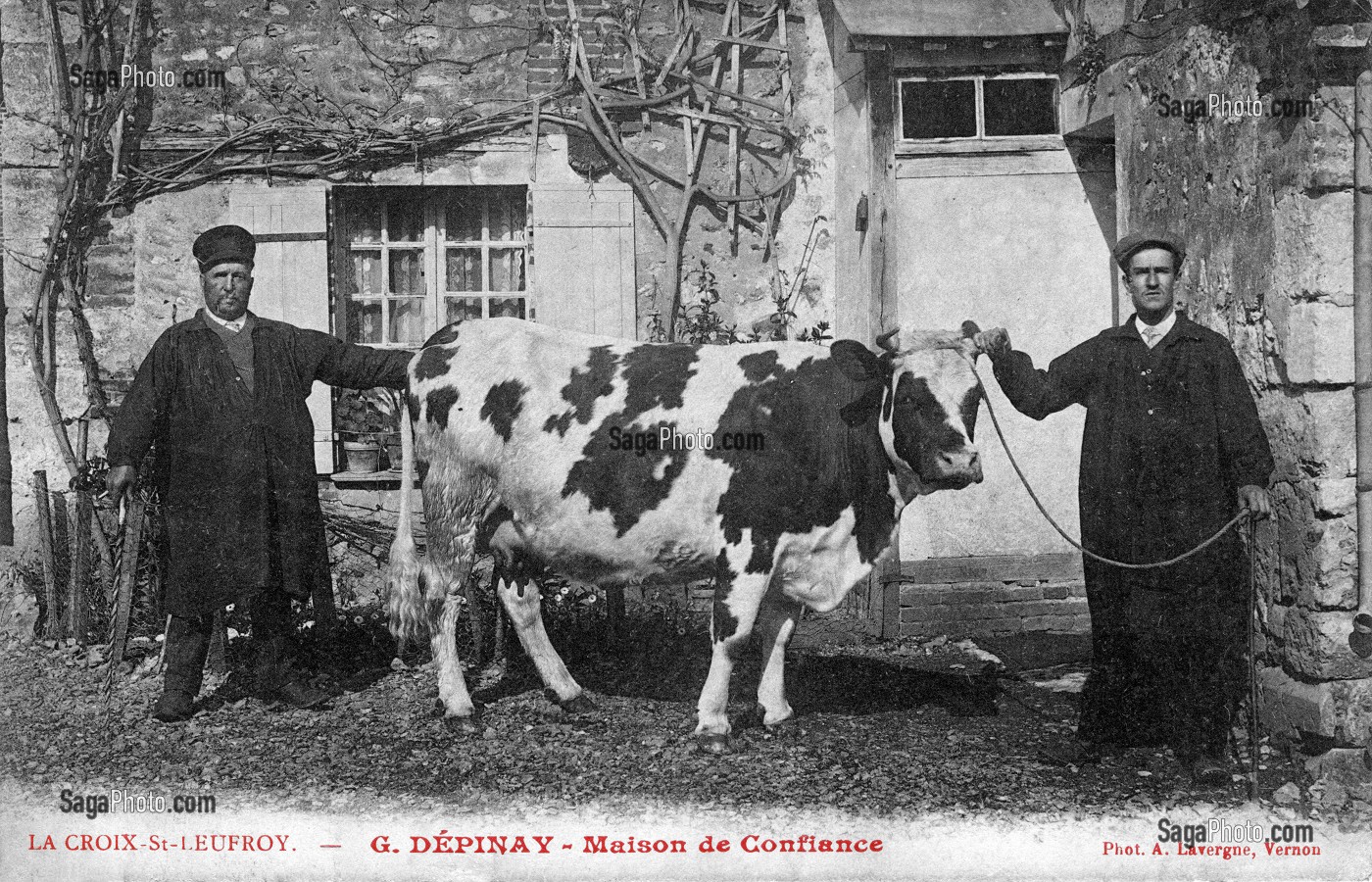 ELEVEURS, LA CROIX SAINT EUFROY, (27) EURE, HAUTE-NORMANDIE, FRANCE 
