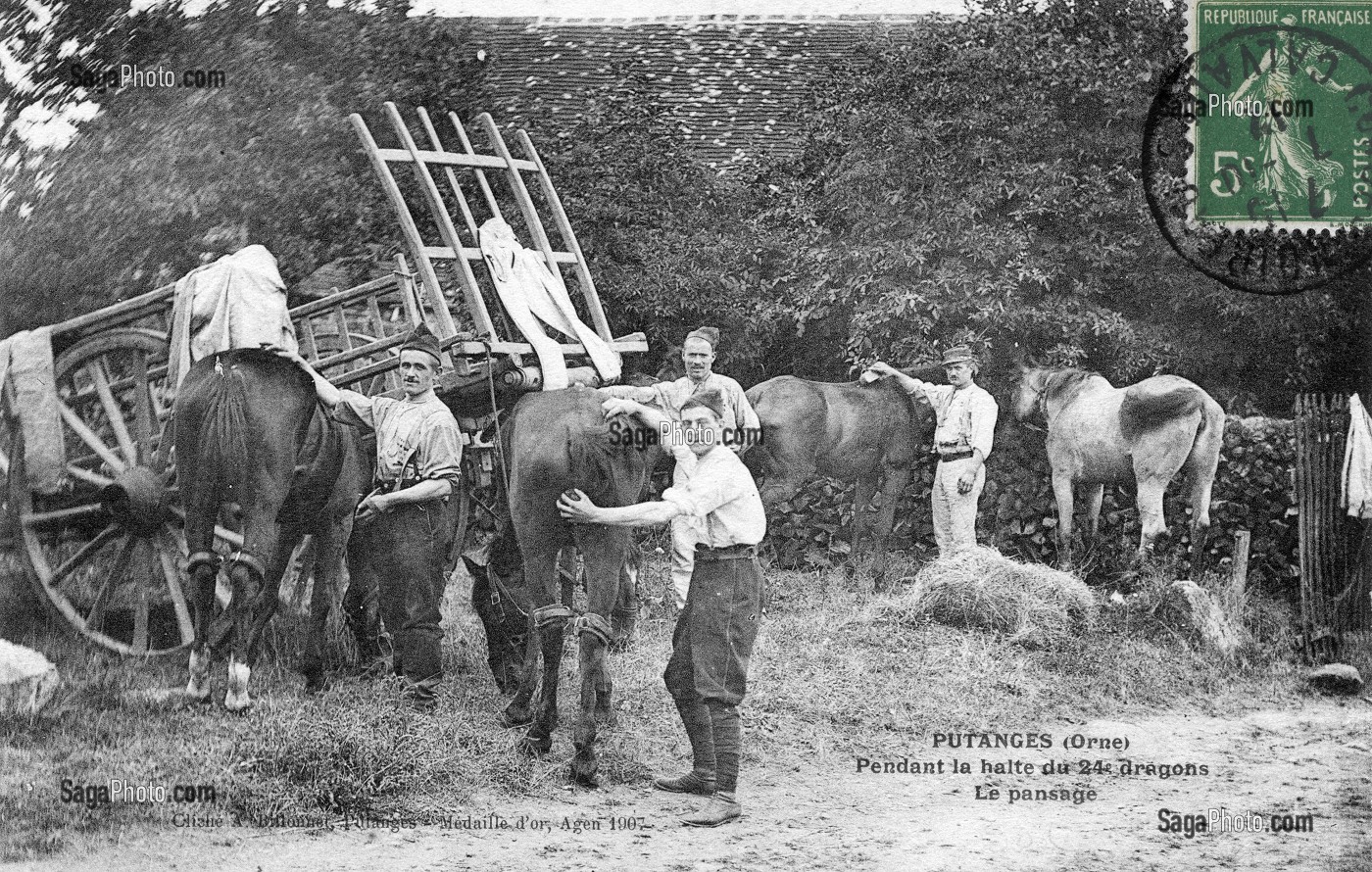 BATTERIE A PUTANGES, (61) ORNE, BASSE-NORMANDIE, FRANCE 