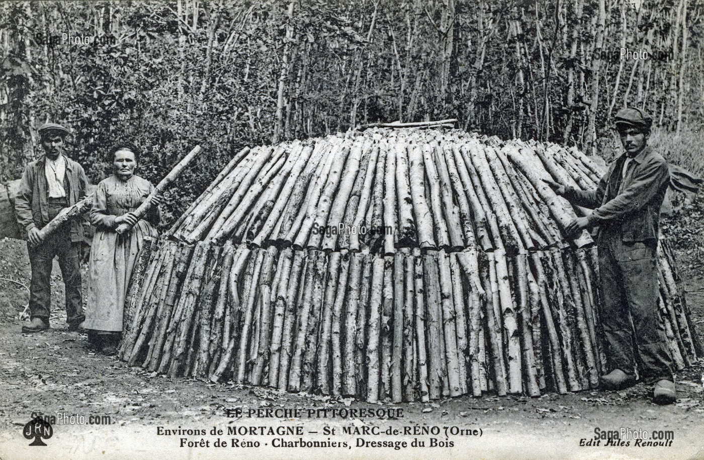 CHARBONNIERS, DRESSAGE DU BOIS, FORET DE RENO, SAINT MARC DE RENO, (61) ORNE, BASSE-NORMANDIE, FRANCE 