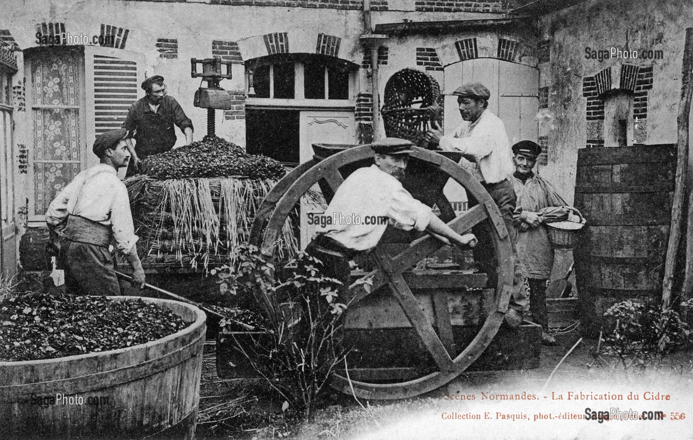 CIDRERIE, L'AIGLE, (61) ORNE, BASSE-NORMANDIE, FRANCE 