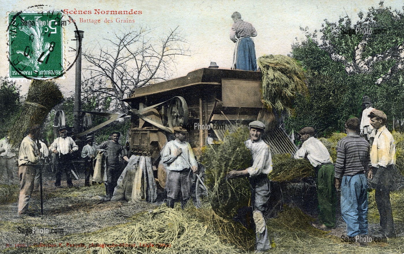 BATTAGE DES GRAINS EN NORMANDIE 