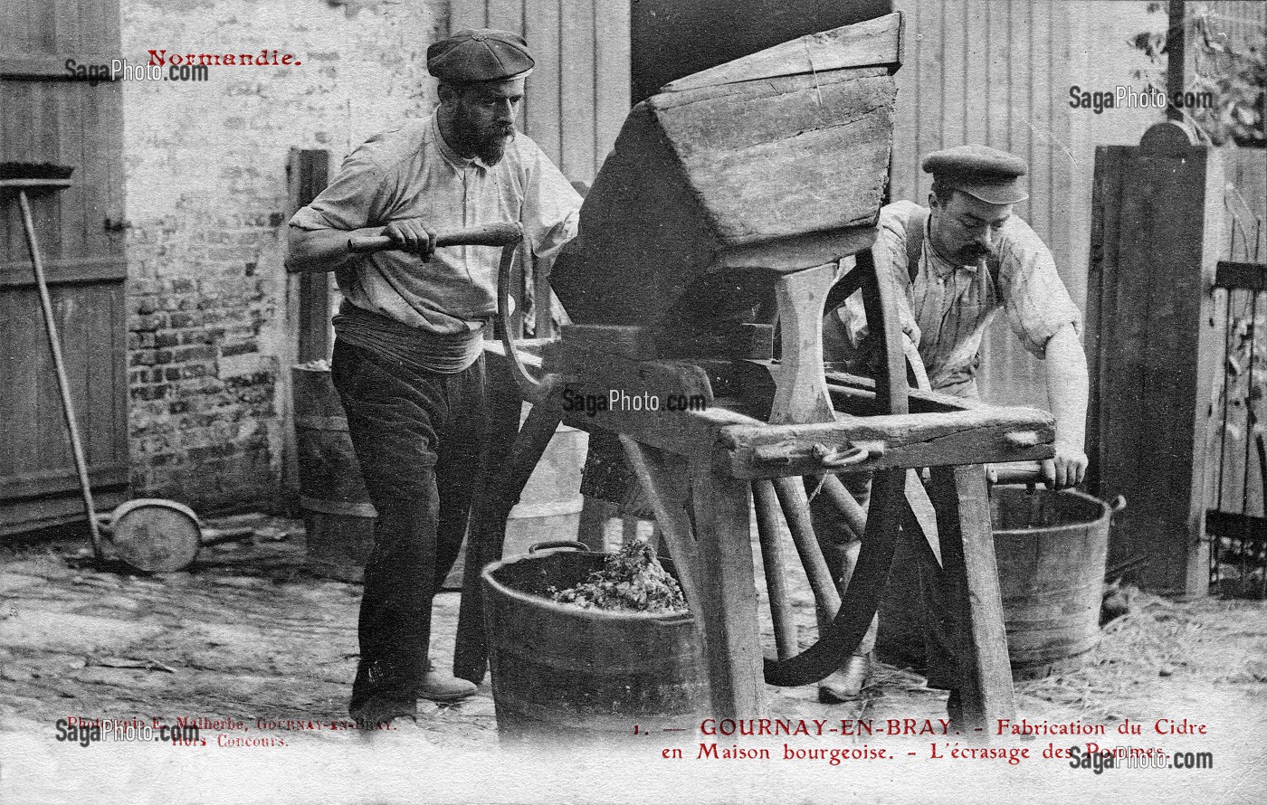 FABRICATION DU CIDRE, ECRASAGE DES POMMES, (76) SEINE-MARITIME, HAUTE-NORMANDIE, FRANCE 