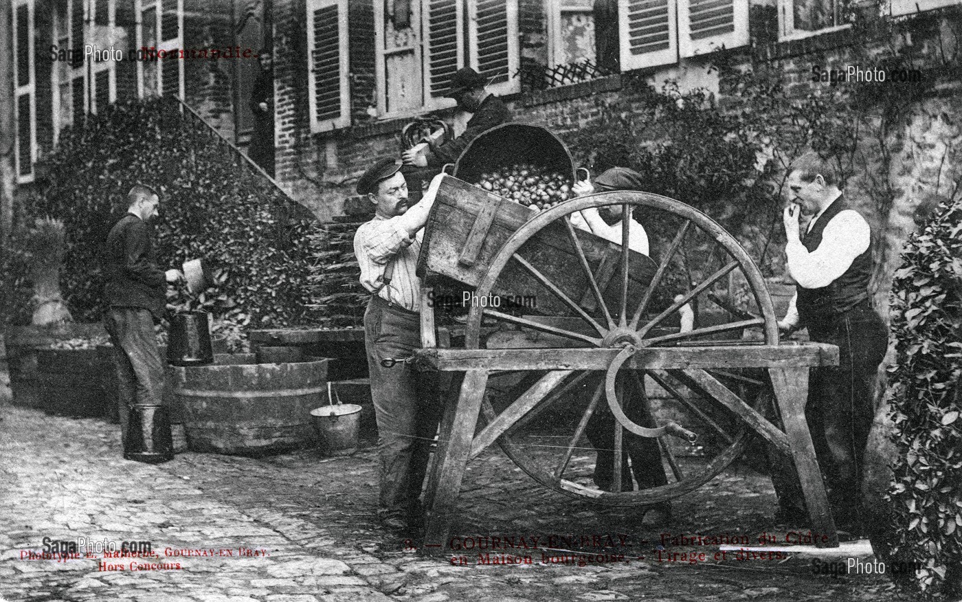 CIDRERIE A GOURNAY, (76) SEINE-MARITIME, HAUTE-NORMANDIE, FRANCE 