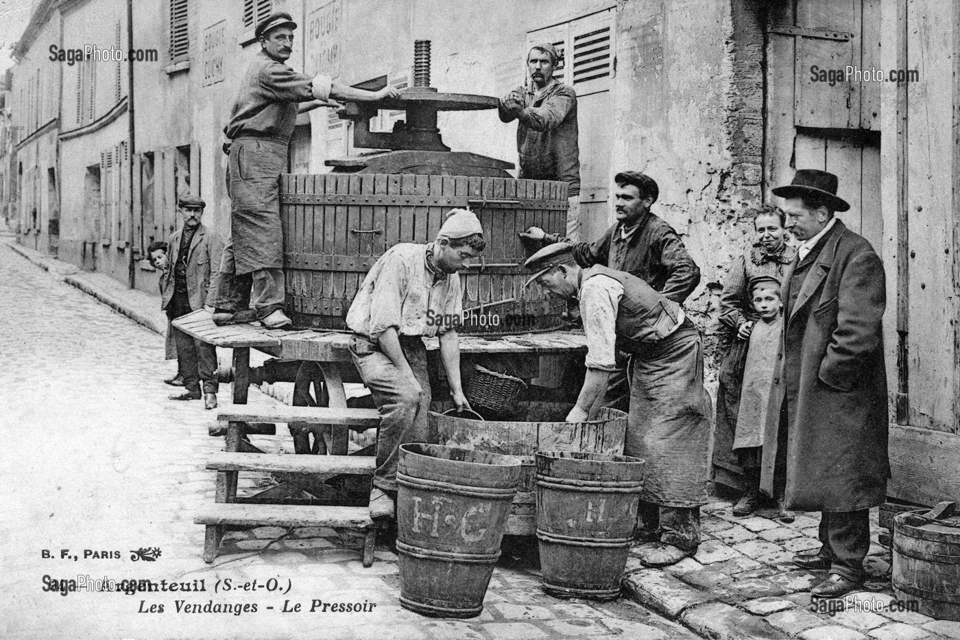 LES VENDANGES, ARGENTEUIL, (95) VAL-D'OISE, ILE-DE-FRANCE, FRANCE 