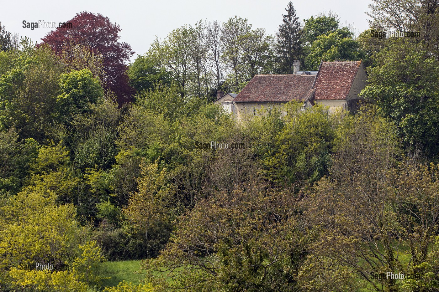 CHAPELLE SAINT-JEAN, BELLEME (61), COMMUNE DU PARC REGIONAL DU PERCHE, VILLAGE DE CARACTERE, NORMANDIE, FRANCE 
