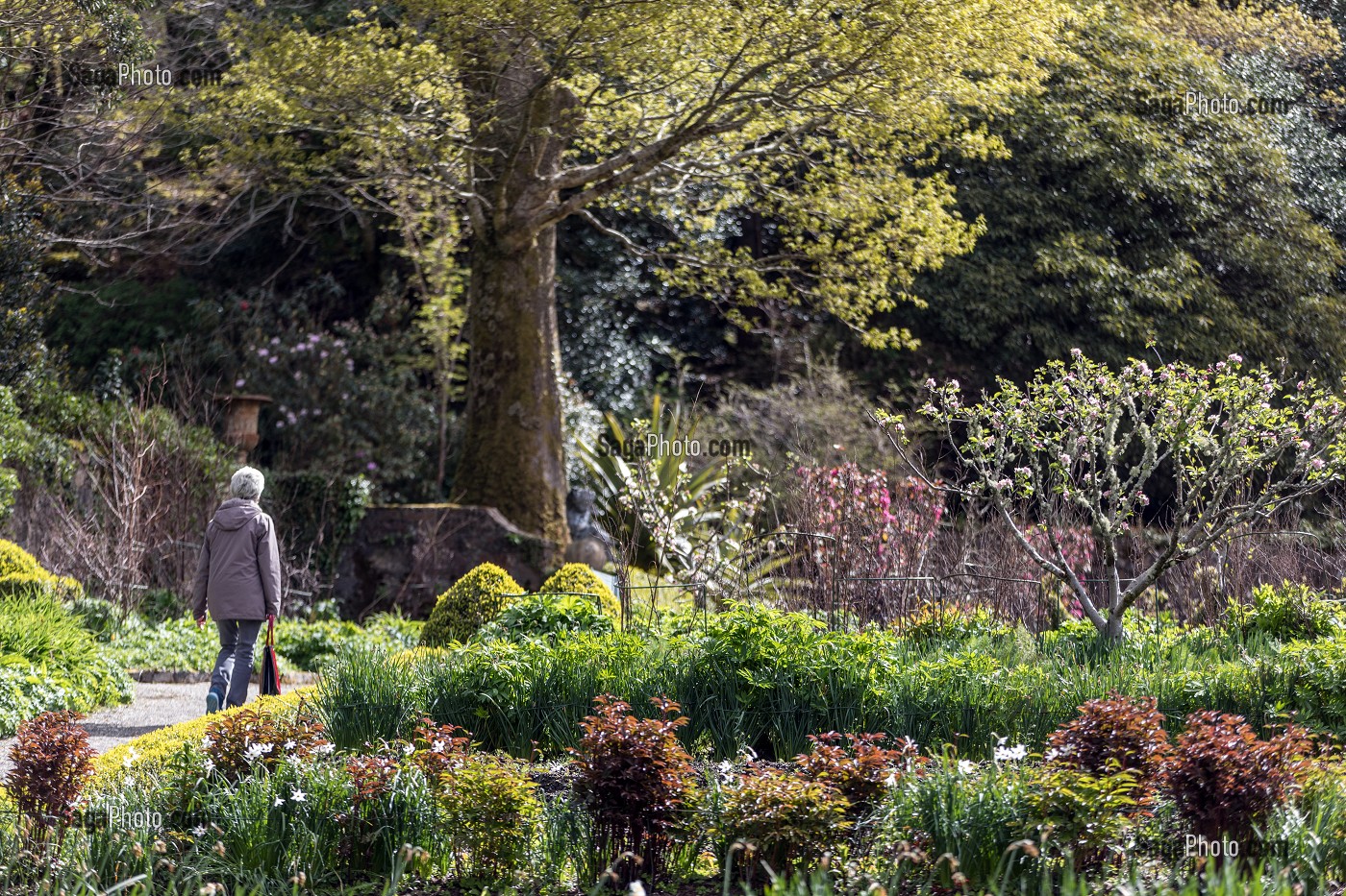 JARDIN CLOS DU CHATEAU, PARC NATIONAL DE GLENVEAGH, COMTE DE DONEGAL, IRLANDE 