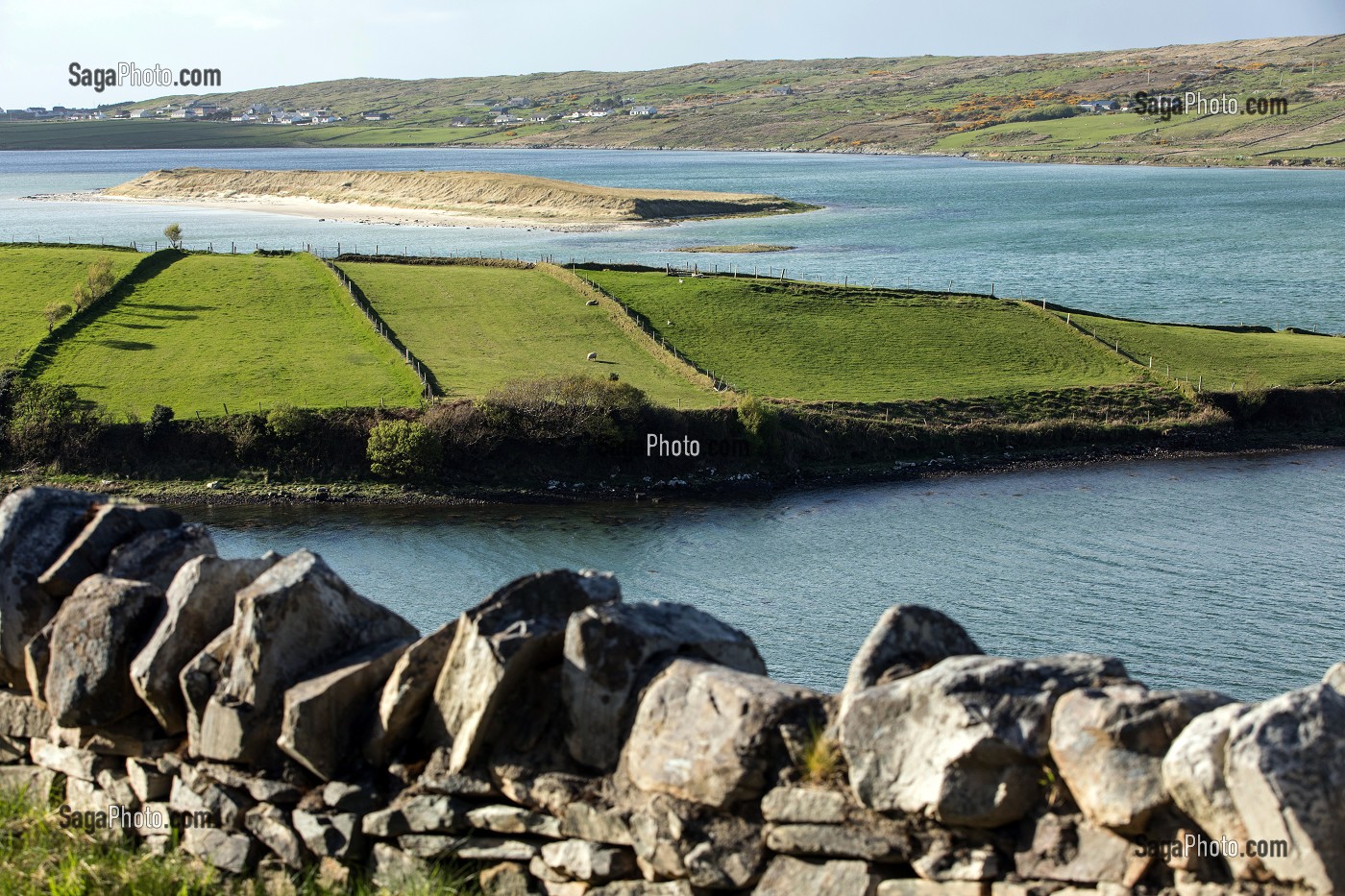 ELEVAGE DE MONTONS SUR L'ILE DE LA BAIE DE BALLYNESS, ROUTE DE MAGHERA, ARDARA, COMTE DE DONEGAL, IRLANDE 