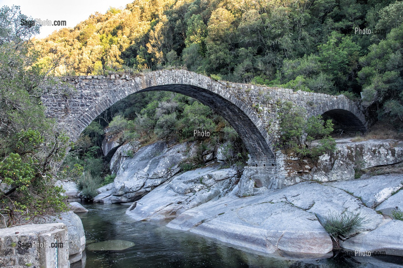 PONT GENOIS DU XVIE SIECLE DIT PONT D'ABRA, PETRETO-BICCHISANO, VALLEE VERTE DU TARAVO, CORSE-DU-SUD, FRANCE 