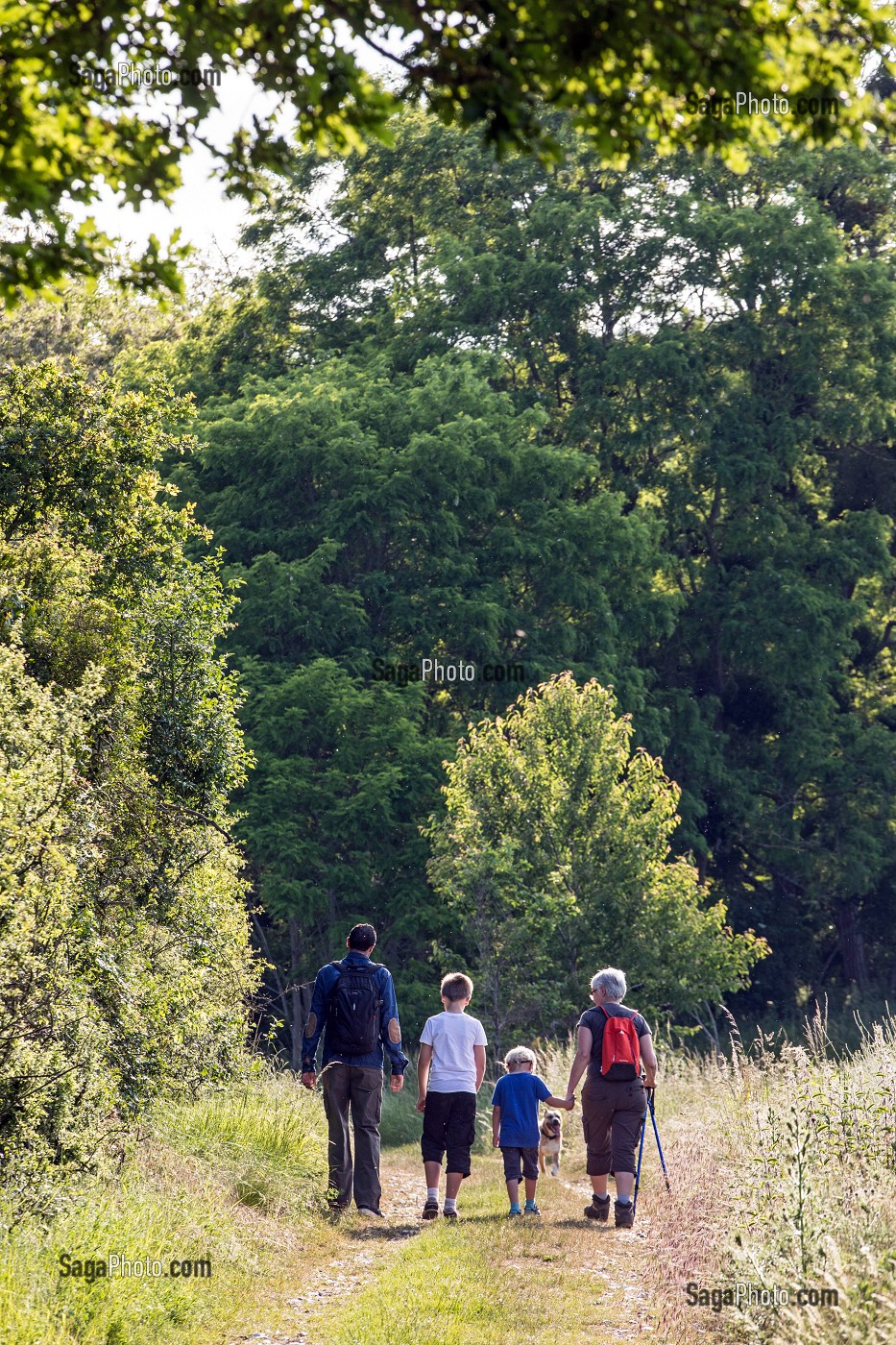 BALADE EN FAMILLE, RANDONNEE PEDESTRE DANS LA VALLEE DES CAILLES, BONCOURT, ANET,(28), FRANCE 