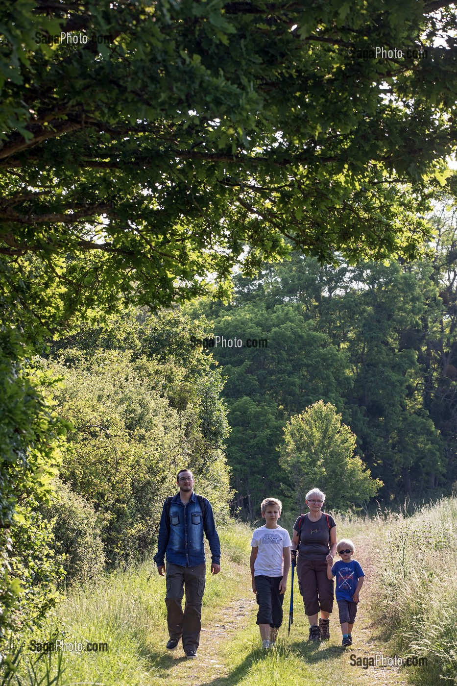 BALADE EN FAMILLE, RANDONNEE PEDESTRE DANS LA VALLEE DES CAILLES, BONCOURT, ANET,(28), FRANCE 