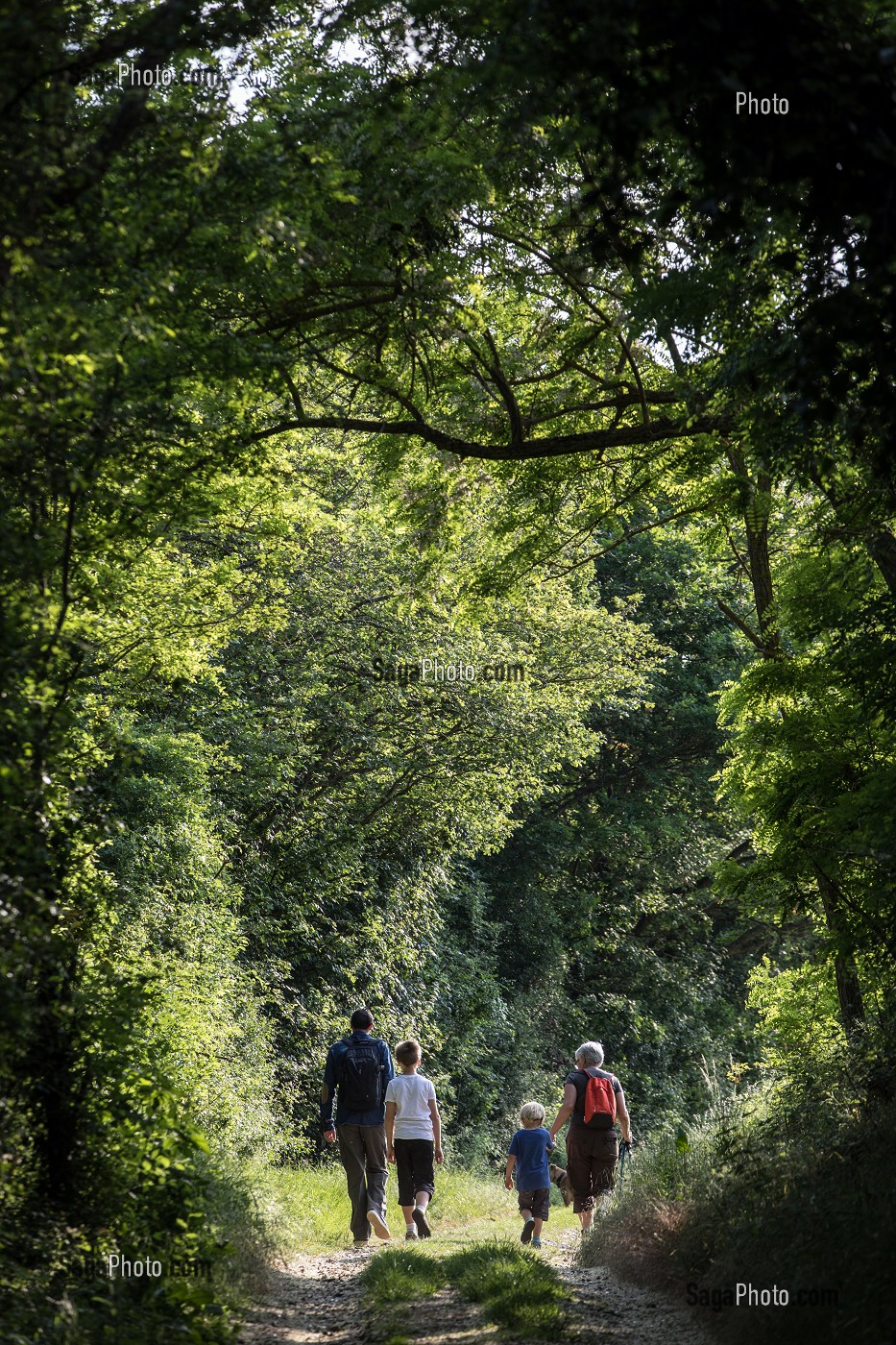 BALADE EN FAMILLE, RANDONNEE PEDESTRE DANS LA VALLEE DES CAILLES, BONCOURT, ANET,(28), FRANCE 