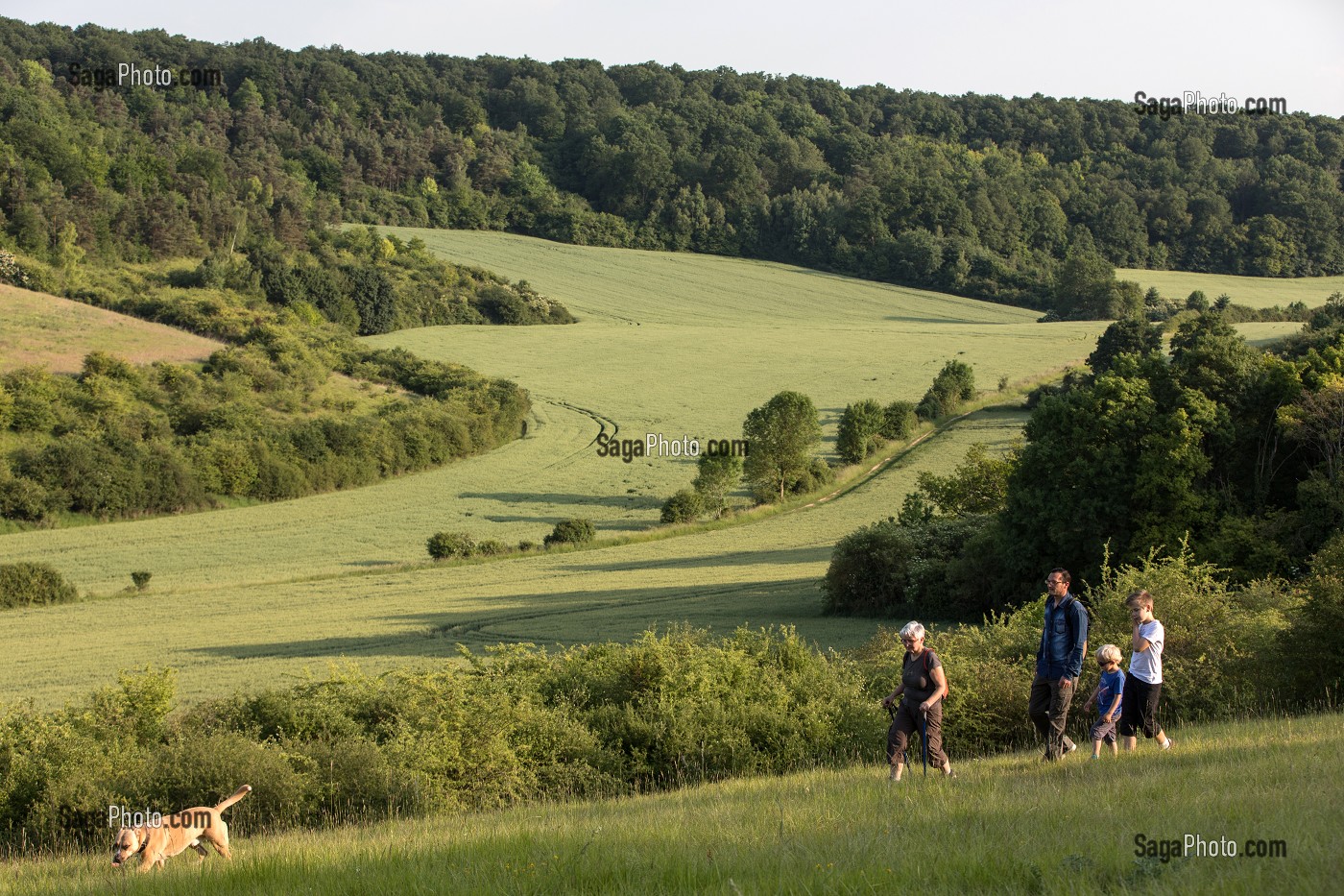 BALADE EN FAMILLE, RANDONNEE PEDESTRE DANS LA VALLEE DES CAILLES, BONCOURT, ANET,(28), FRANCE 