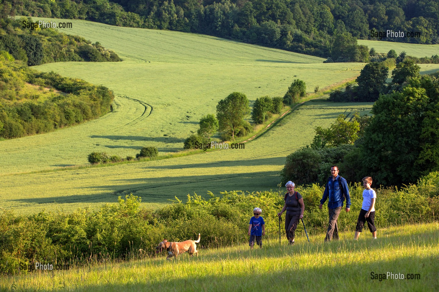 BALADE EN FAMILLE, RANDONNEE PEDESTRE DANS LA VALLEE DES CAILLES, BONCOURT, ANET,(28), FRANCE 