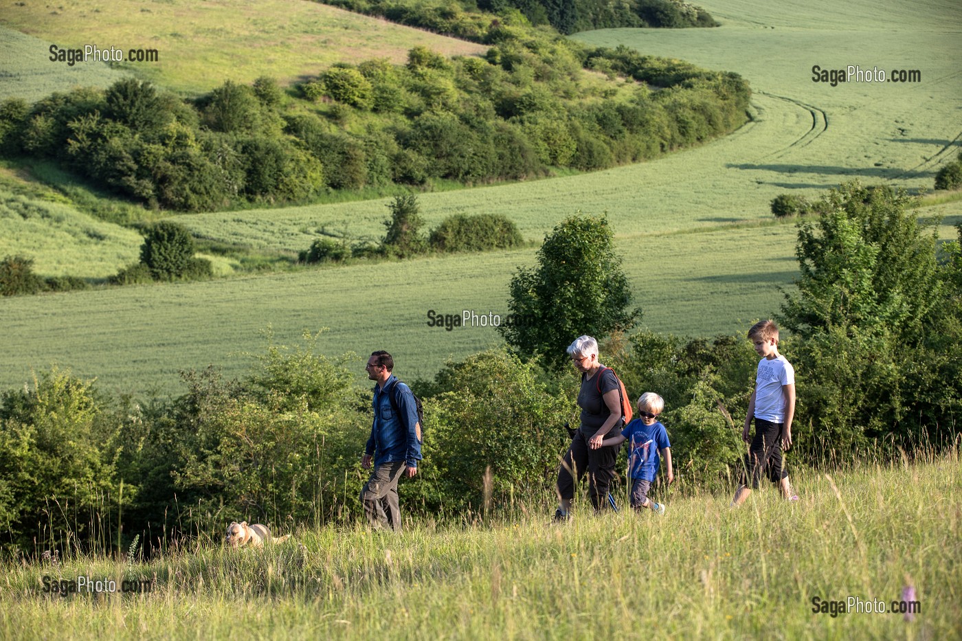 BALADE EN FAMILLE, RANDONNEE PEDESTRE DANS LA VALLEE DES CAILLES, BONCOURT, ANET,(28), FRANCE 