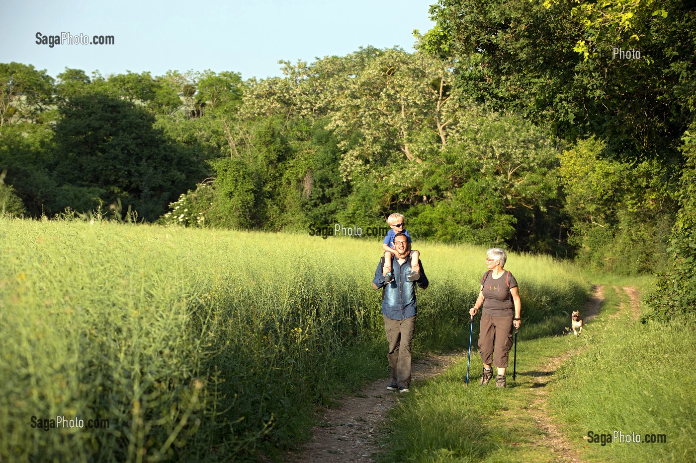 BALADE EN FAMILLE, RANDONNEE PEDESTRE DANS LA VALLEE DES CAILLES, BONCOURT, ANET,(28), FRANCE 