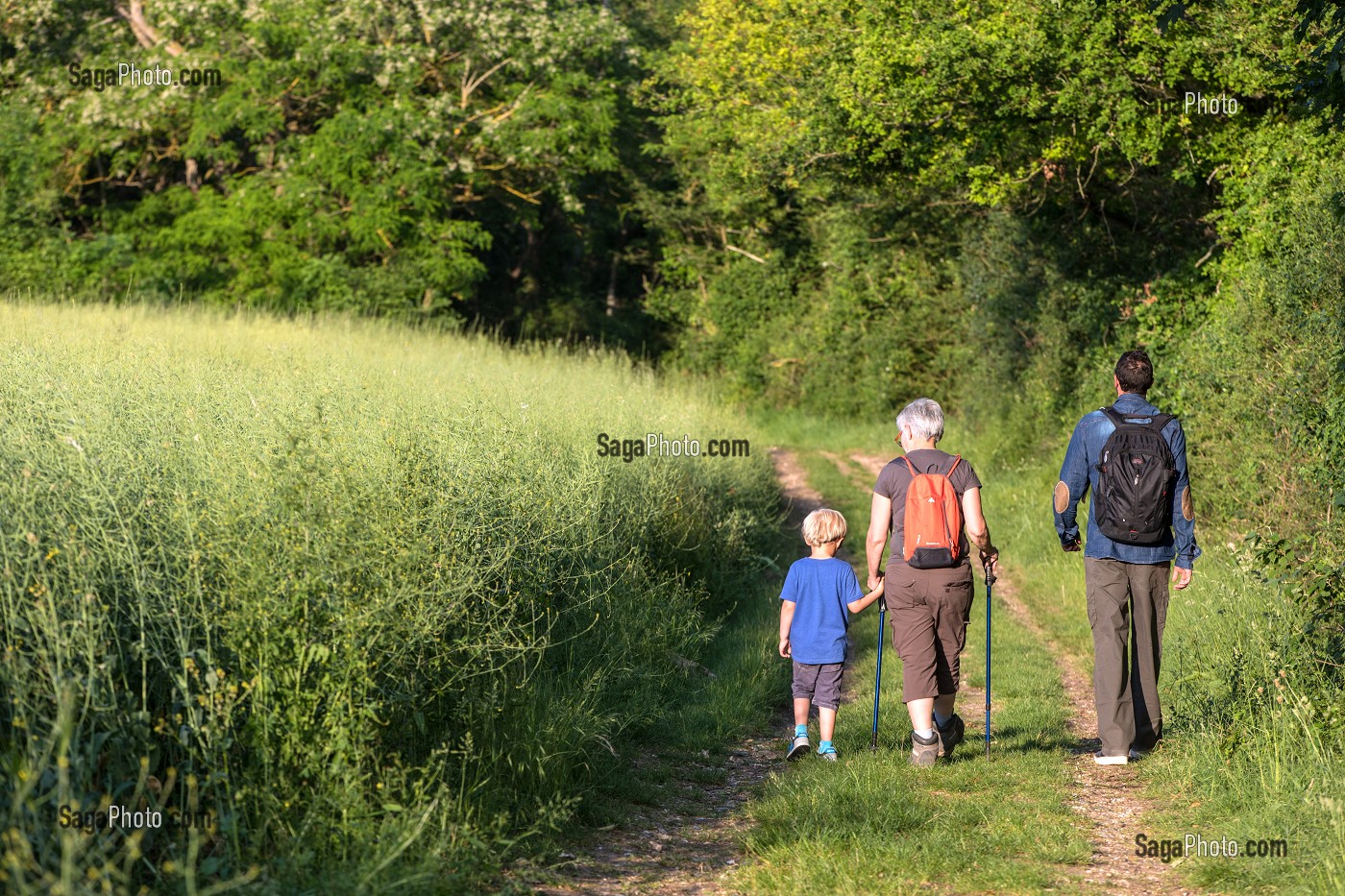 BALADE EN FAMILLE, RANDONNEE PEDESTRE DANS LA VALLEE DES CAILLES, BONCOURT, ANET,(28), FRANCE 