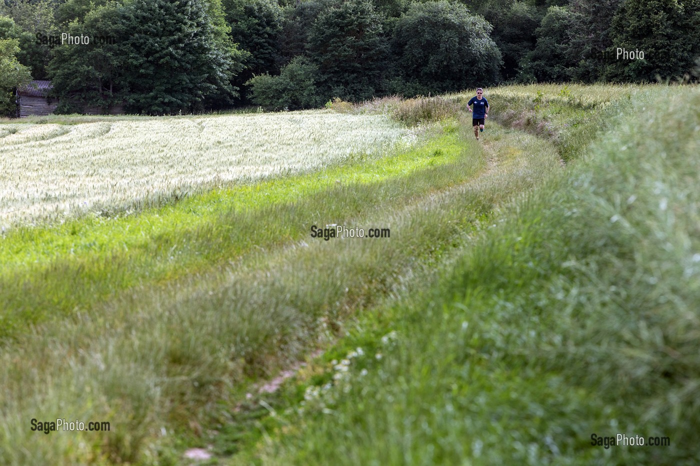 CHEMIN DE RANDONNEE PEDESTRE SUR LES HAUTS DE CHARTRES (28), FRANCE 