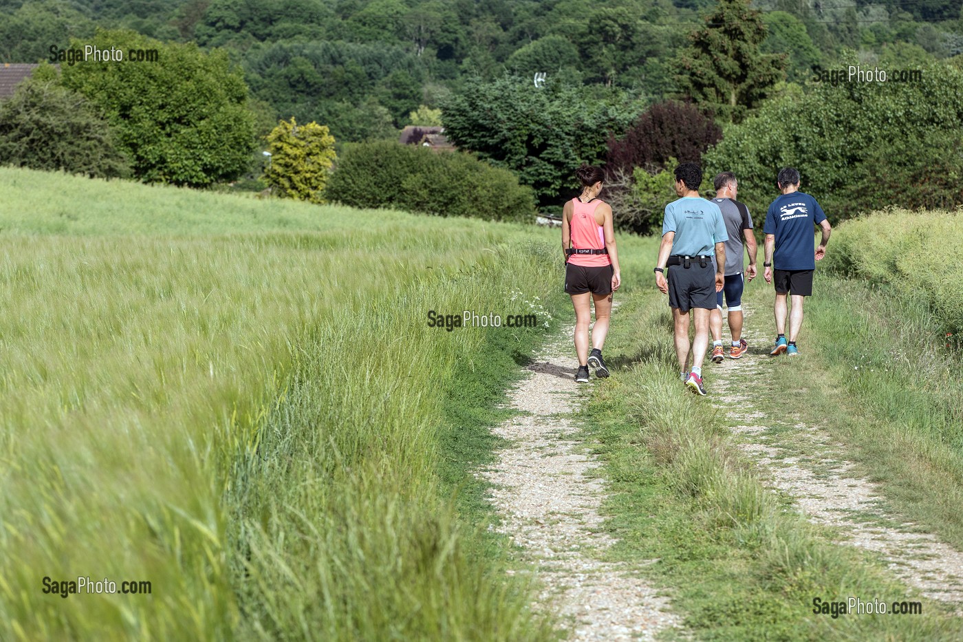 CHEMIN DE RANDONNEE PEDESTRE SUR LES HAUTS DE CHARTRES (28), FRANCE 