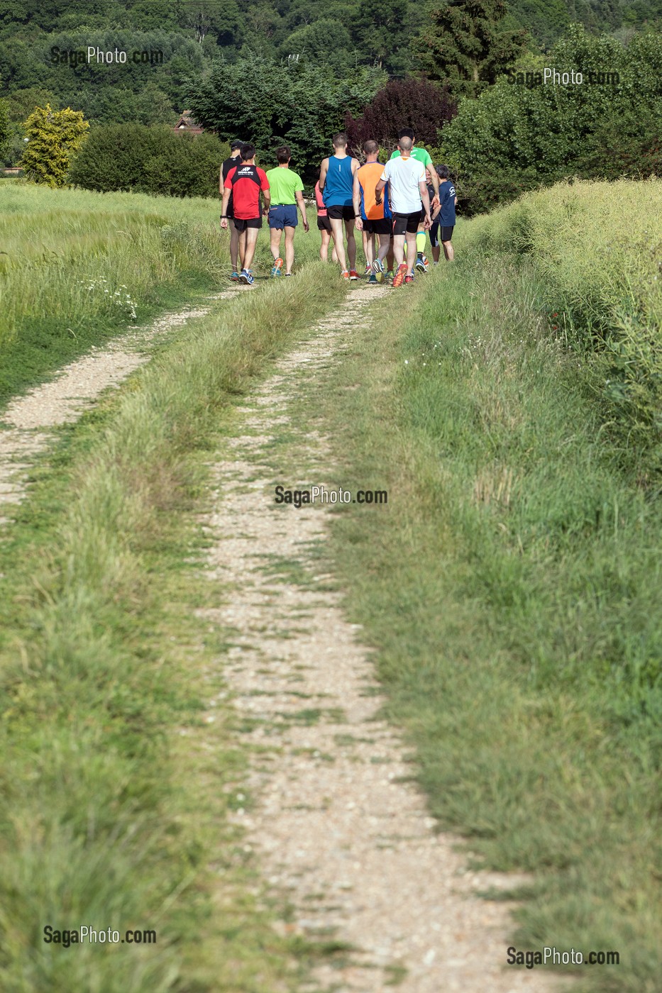 CHEMIN DE RANDONNEE PEDESTRE SUR LES HAUTS DE CHARTRES (28), FRANCE 